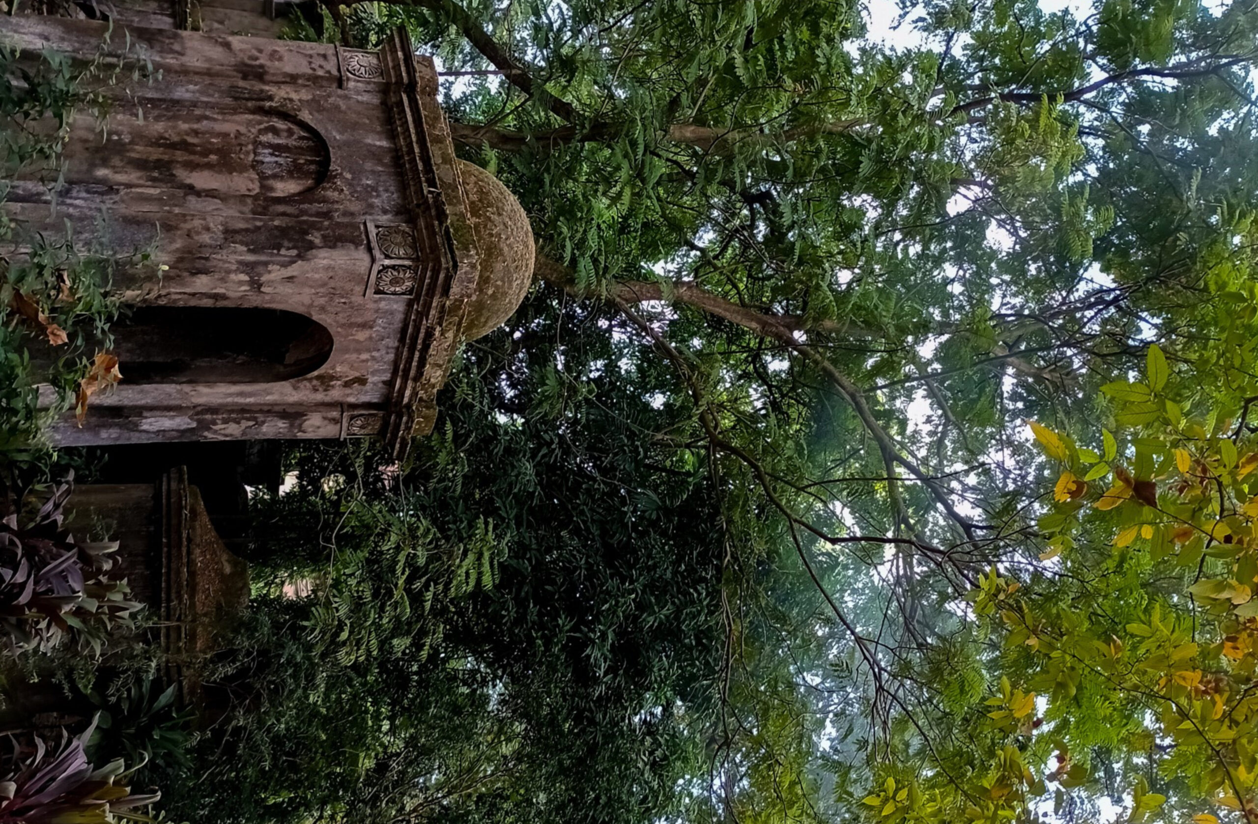 Kolkata: The City of Joy (Set of 5) - Image 4